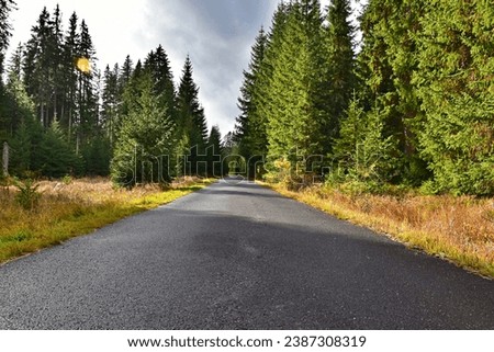 A solid, comfortable path for pedestrians and bicycles in the Sumava National Park