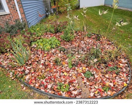 Leave the Leaves- beautiful fall leaves left in a garden bed to help overwintering pollinators and other critters Royalty-Free Stock Photo #2387312223