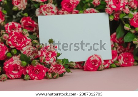 Red Little Roses With Writing Leaf, Greeting Card. High quality photo