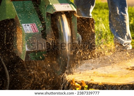 A stump grinder swiftly eliminating a tree stump. Wood chips fly as the machine efficiently works, highlighting professional outdoor maintenance in Stump grinding and grinder stump removal. Royalty-Free Stock Photo #2387339777