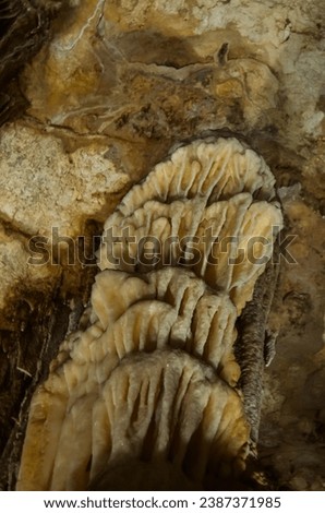 The formations in a cave located in Mersin province in Turkey. This picture can be used in cave-themed books, in works describing cave structures.