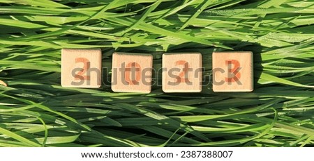 Inscription 2023. Toy square cubes and numbers on green surface of wavy grass, that means coming New Year Eve. Christmas, holidays, celebration concept. 2023 cubes inscription on grass backdrop