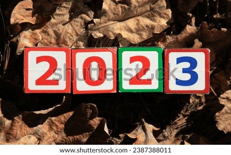 Inscription 2023. Toy square cubes and numbers in dry autumn leaves, that means coming New Year Eve. Christmas, holidays, celebration concept. New Year of 2023, year of black water rabbit
