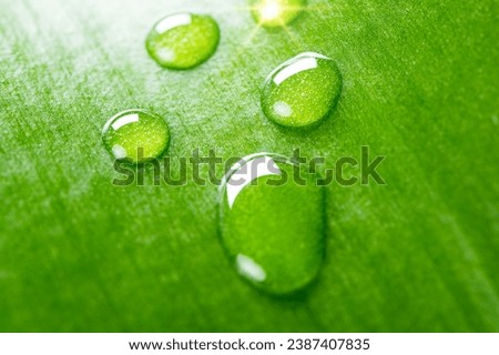 macro shot featuring a green leaf. The balanced composition and vibrant colors make it an excellent choice for projects promoting environmental harmony, sustainable living, or green initiatives. Royalty-Free Stock Photo #2387407835
