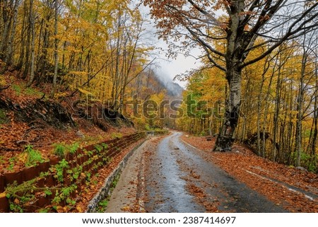 Thethi National Park, northern Albania showing the beautiful colours of Autumn