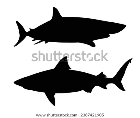 Shark Silhouette. Shark Vector illustration.