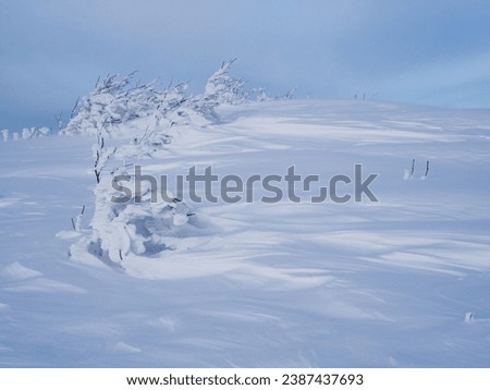 Winter mountain landscape. Snowdrifts on the top of the mountain in Mala Rawka. Bieszczady Mountains. Poland