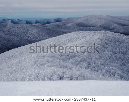 Winter mountain landscape. Snow-covered trees on mountain slopes. View from Mala Rawka. Bieszczady Mountains. Poland
