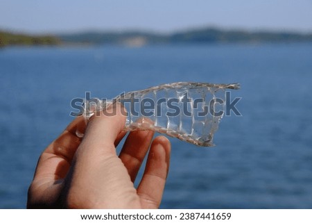 This is some snake skin I found at North Toledo Bend State Park in Zwolle Louisiana. You can see the lake in the background.