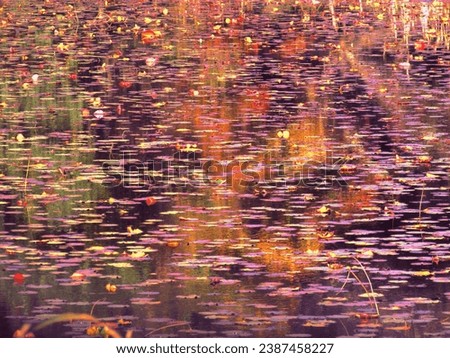                         Abstract picture of water ripples in a lake with fall leaves laying on top.         