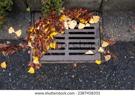 Fall leaves blocking a storm drain on a residential street
 Royalty-Free Stock Photo #2387458331