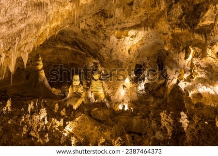 Carlsbad Caverns National Park in USA, New Mexico Royalty-Free Stock Photo #2387464373