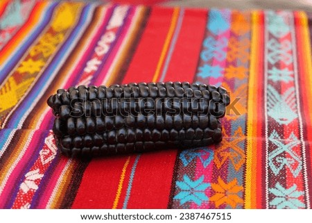 Close up of Maiz Morado, Purple Corn, Zea mays indurata, kʼculli or Black Aztec Corn on a traditional colourful red peruvian tablecloth Royalty-Free Stock Photo #2387467515