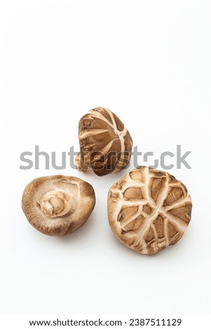 Shiitake mushrooms on a white background.