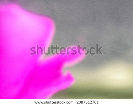 abstract purple and green background with natural texture of flower petals.layout .copy space

