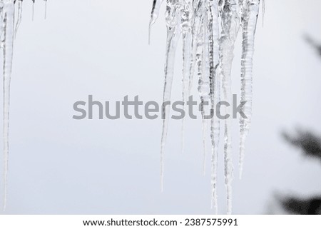 Picture of ice stalactites melting
