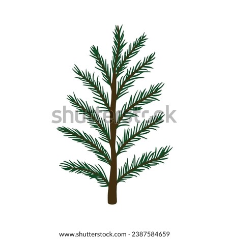 The spruce is green. Pine isolated on a white background painted in a cute style for your design