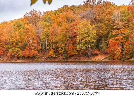 Fall colors at Strahl Lake in Brown County State park in Nashville, IN. USA.