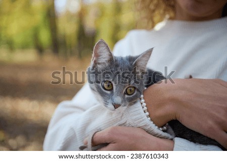 Girl in light clothes holding a cute gray cat in her arms. Golden autumn. Park with fallen leaves of different colors on the ground.