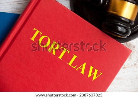 Top view of Tort Law book with gavel background. Law concept.