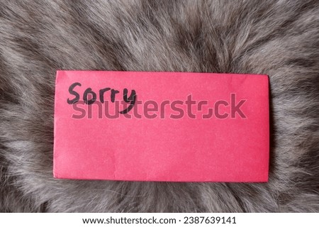 The word sorry written on a red sticky note with a feather background. Apologizing Concept