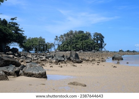 Photo of a wild coast with tropical trees and plants with rocks an stone on the sand of the beach near the sea oe ocean