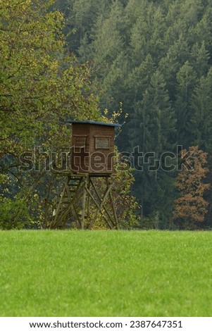 Hunting Stand High seat odenwald germany. High quality photo