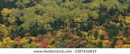 Colorful autumn forest within Onigajou (Devil's Castle, Mt. Iwate). Royalty-Free Stock Photo #2387656819