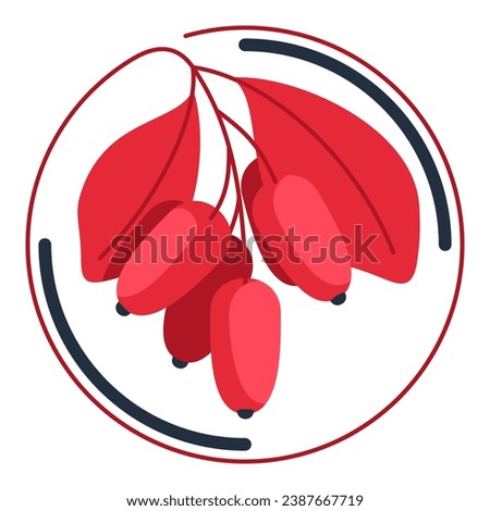 Berberine icon - compound that taken from Berberis plant. Illustration for nutritional supplement or dye Royalty-Free Stock Photo #2387667719