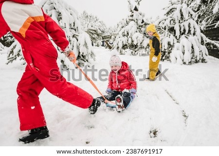 Children are rolling down hill on sledge in forest. Happy funny childs ride sled on snowy road in mountains. Family with kids walk during snowfall in the park on winter day. Girl pulling sled on snow.