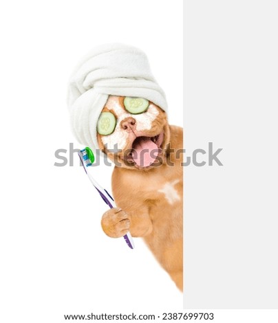 Happy Mastiff puppy with towel on it head with pieces of cucumber on it eyes and with cream on it face holds shower brush behind empty white banner. isolated on white background