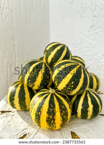 Pumpkins in the home interior. Halloween decorations. Autumn decoration for the home - decorative pumpkins.