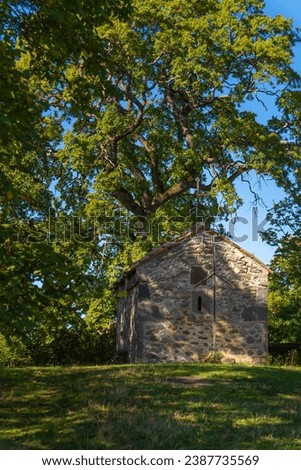 An ancient Orthodox church made of stones on a hill against the background of an oak tree on a sunny, clear day. Concept of religion, ancient history. Vertical photo