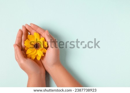 Woman holding beautiful flower on turquoise background, top view. Space for text