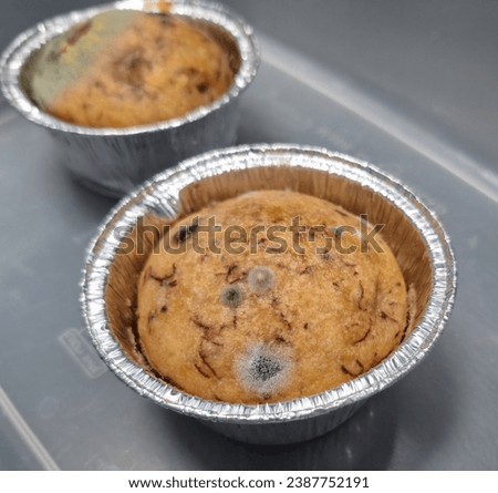 Picture of fungus in food, fungus in banana cake
