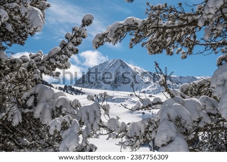 Beautiful snow covered winter landscape