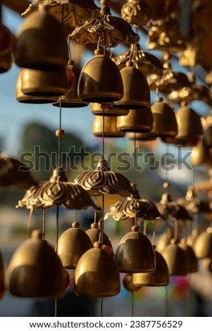 In this picture I can see a bell. or golden bell The villagers told me that it was an amulet or an accessory to attract only good things, to attract money, to attract good luck. And I want it too.