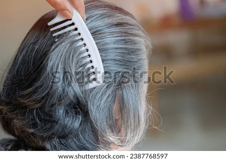 Middle age grey-haired woman on back view combing hair standing at home. Gray hair concept, selective focus. Royalty-Free Stock Photo #2387768597