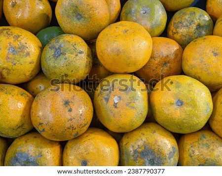 Local citrus fruit is a fruit that is often found in Indonesian fruit markets and is cheaper than imported orange fruit 