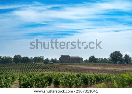 Rural landscape near Bolsena, Lazio, Italy, at summer