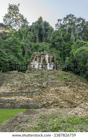 Mayan Temple of the Foliated Cross - Palenque, Mexico. Royalty-Free Stock Photo #2387826759