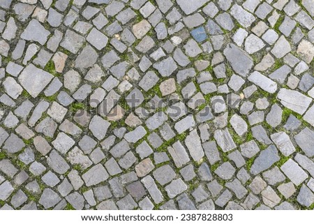 stone pavement road on the street of germany Royalty-Free Stock Photo #2387828803