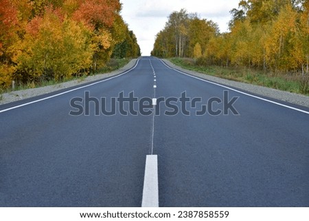 Beautiful autumn asphalt road through the forest. Highway is a road in a beautiful countryside.