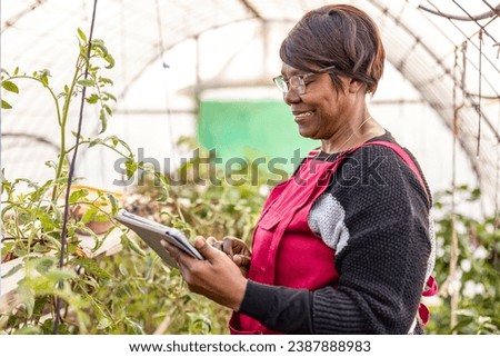 senior african american woman farmer using a digital tablet