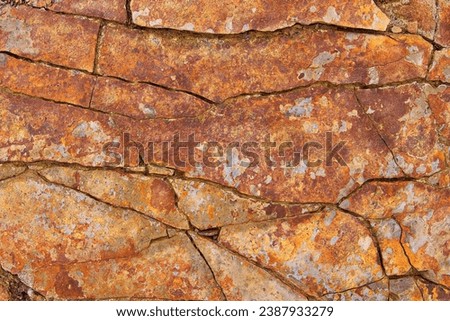 Abstract cracked sandstone texture background in natural patterned and color for design. Details of sandstone texture closeup.