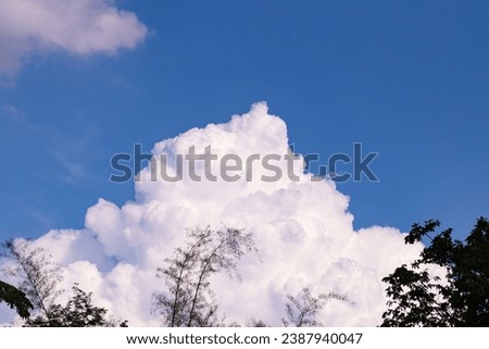 Image of group white clouds in sky blue, white like cotton balls. Beautiful natural phenomenon. Big trees with green leaves surrounded middle of mountain valley with bright sunlight. 