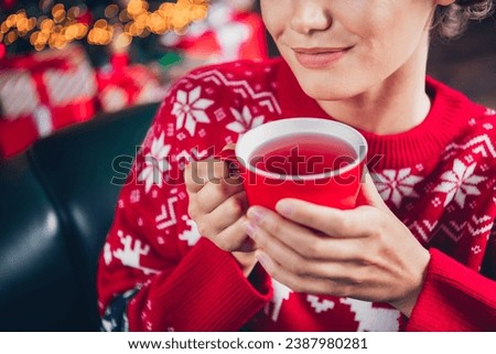 Cropped photo picture of smiling cute lady drinking raspberry tea new year atmosphere tradition warmth isolated on blur background