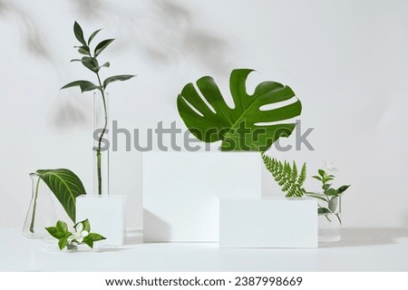 White podiums in cube and rectangle shaped arranged with many types of leaves. Concept scene stage showcase for new product, promotion sale, cosmetic presentation Royalty-Free Stock Photo #2387998669