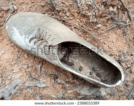 the appearance of old used shoes that had been thrown away and were lying on the ground