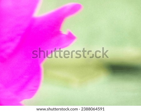 abstract purple and green background with natural texture of flower petals.layout .copy space
